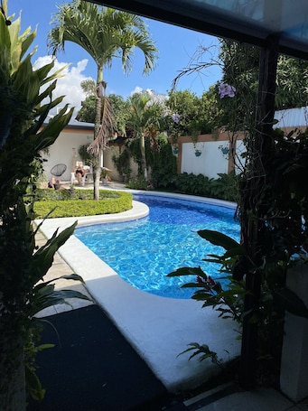 Outdoor pool, sun loungers