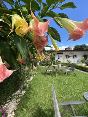 Terrace/patio - Berlor Airport Inn (Rio Segundo)