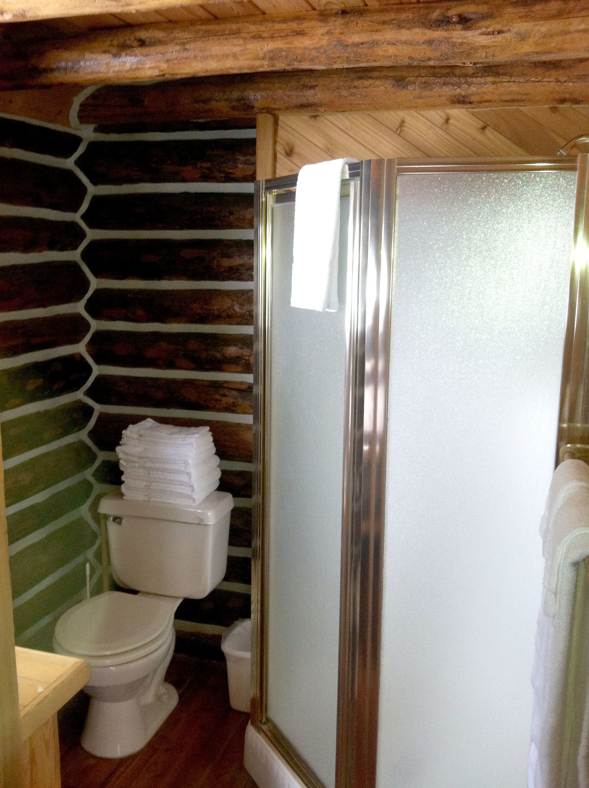 A rustic bathroom with a wooden log wall, a white toilet, and a glass-enclosed shower area.