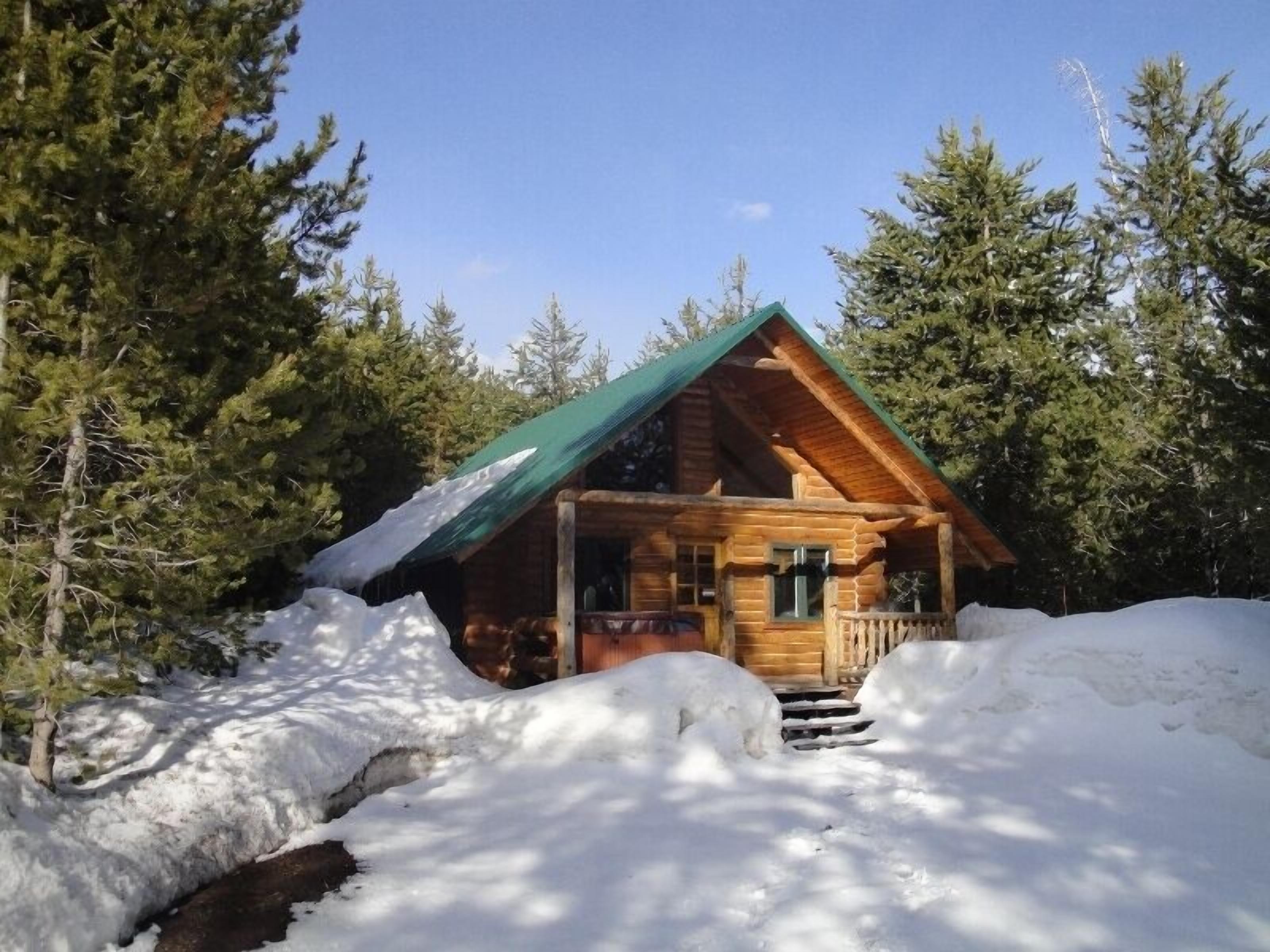 A wooden cabin with a green roof surrounded by snow and trees.