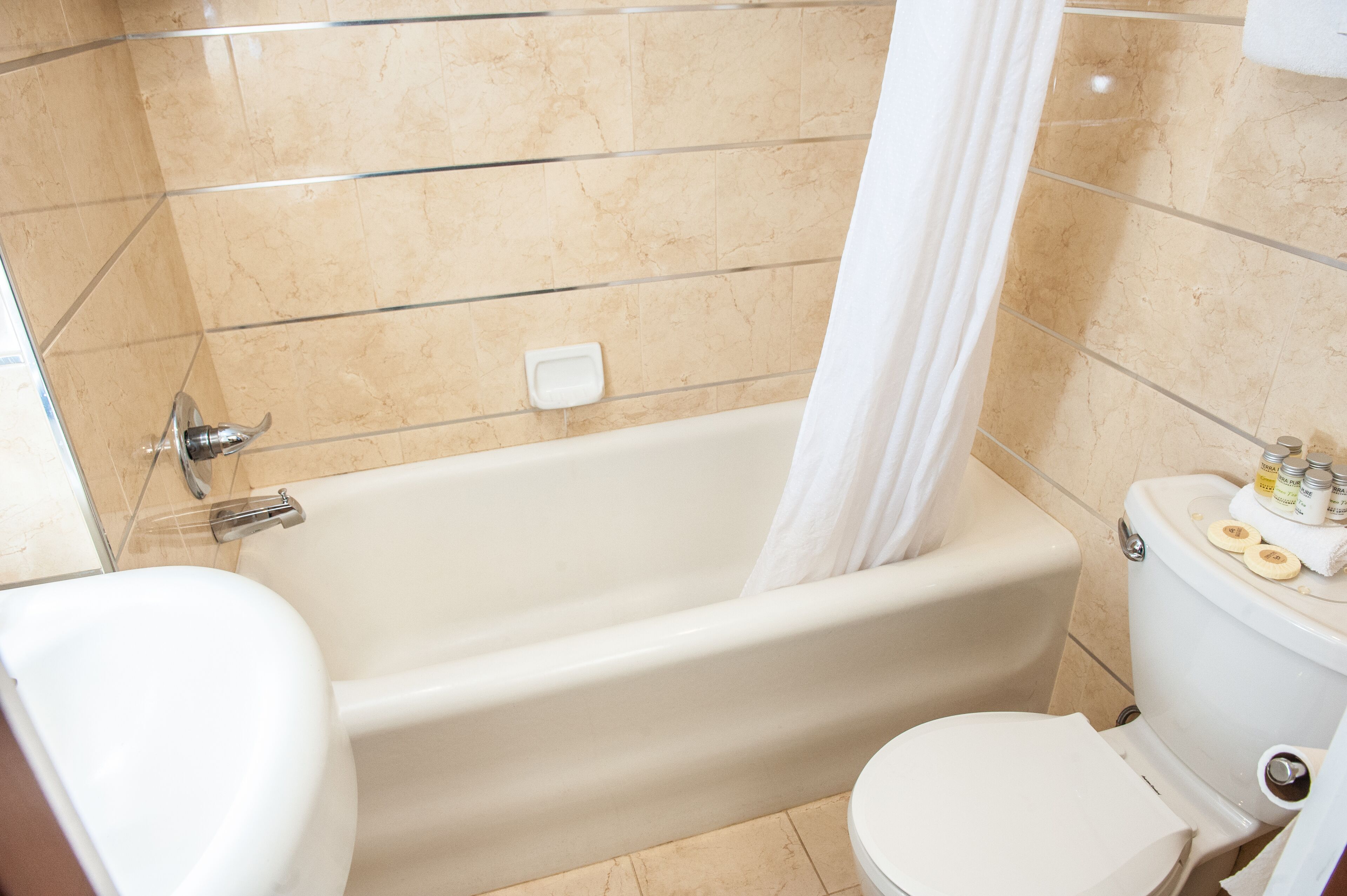 A bathroom with a bathtub, toilet, and a shower curtain.