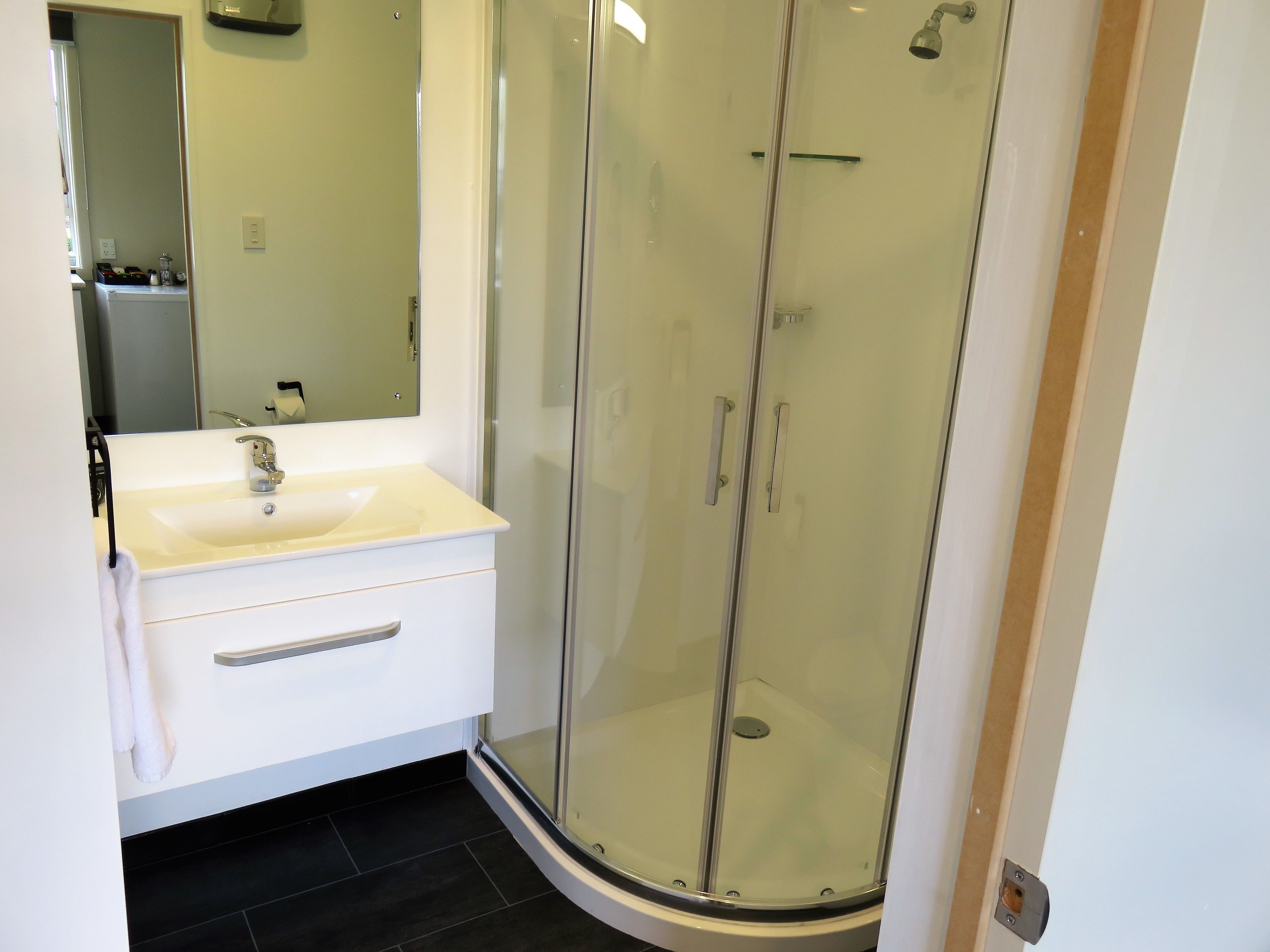 Une salle de bain avec un lavabo blanc, un miroir et une cabine de douche en verre.