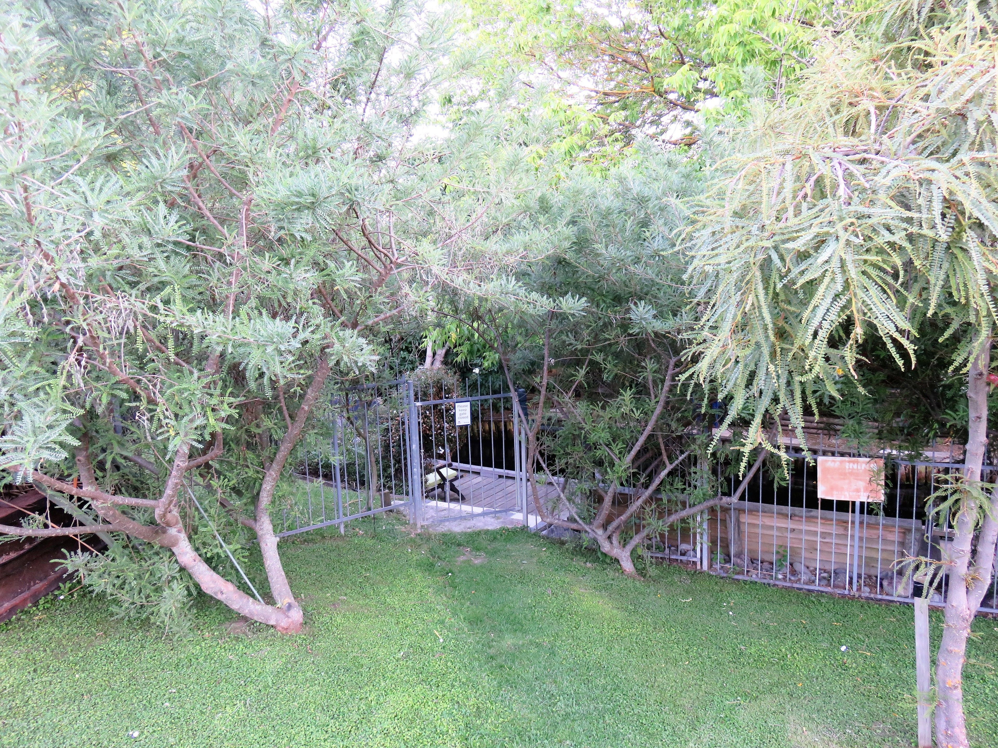 A fenced outdoor area with trees and a small structure.