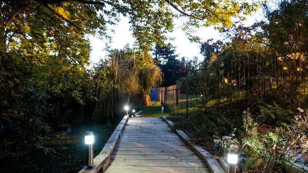 Un sendero de madera que atraviesa un jardín con barandillas de metal y luces solares.