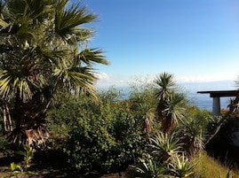 Un jardín con diversas plantas y vista al océano.