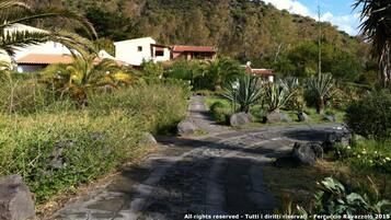 Un camino que conduce a una colina con edificios y vegetación exuberante.
