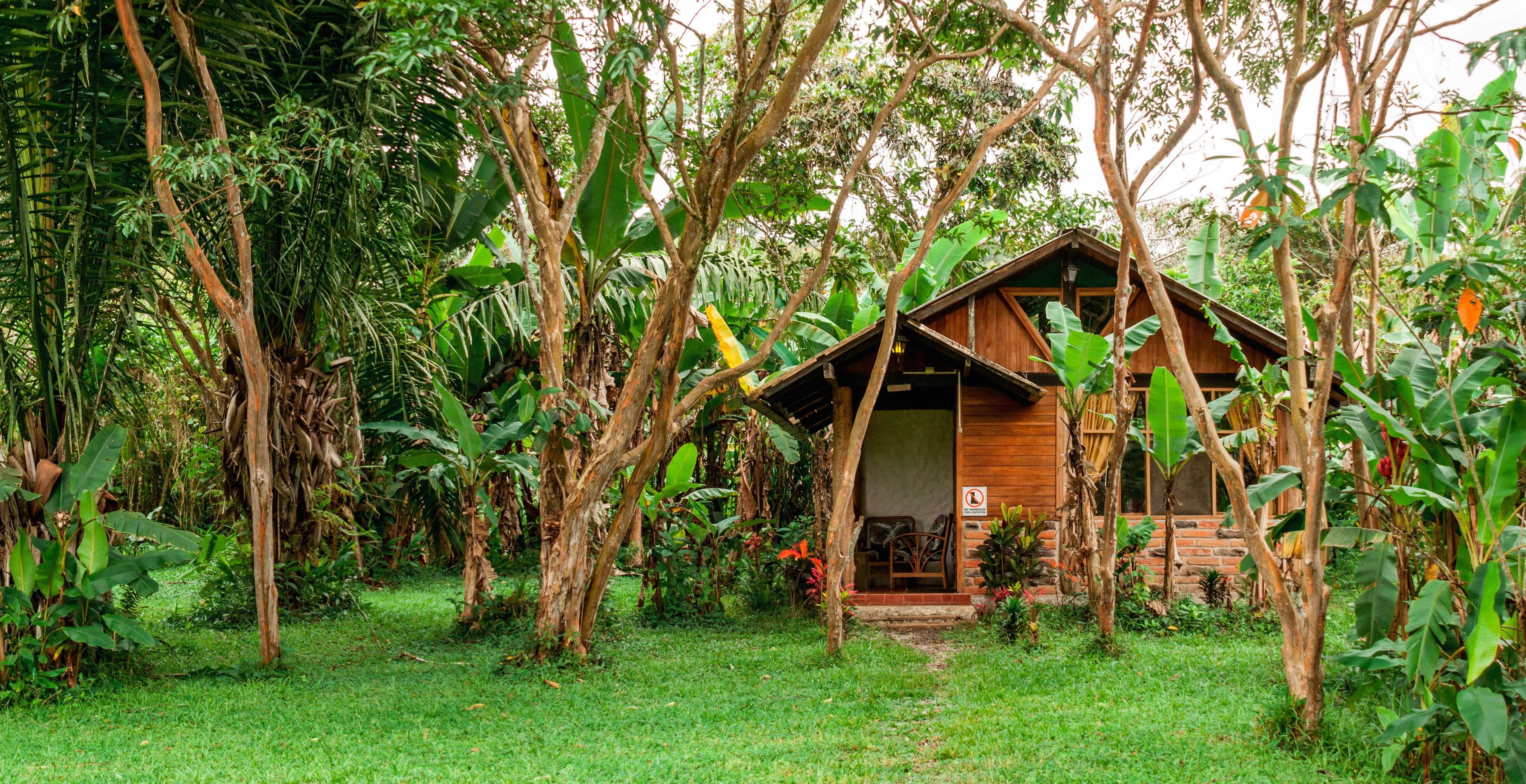 A rustic wooden cabin surrounded by dense tropical vegetation.