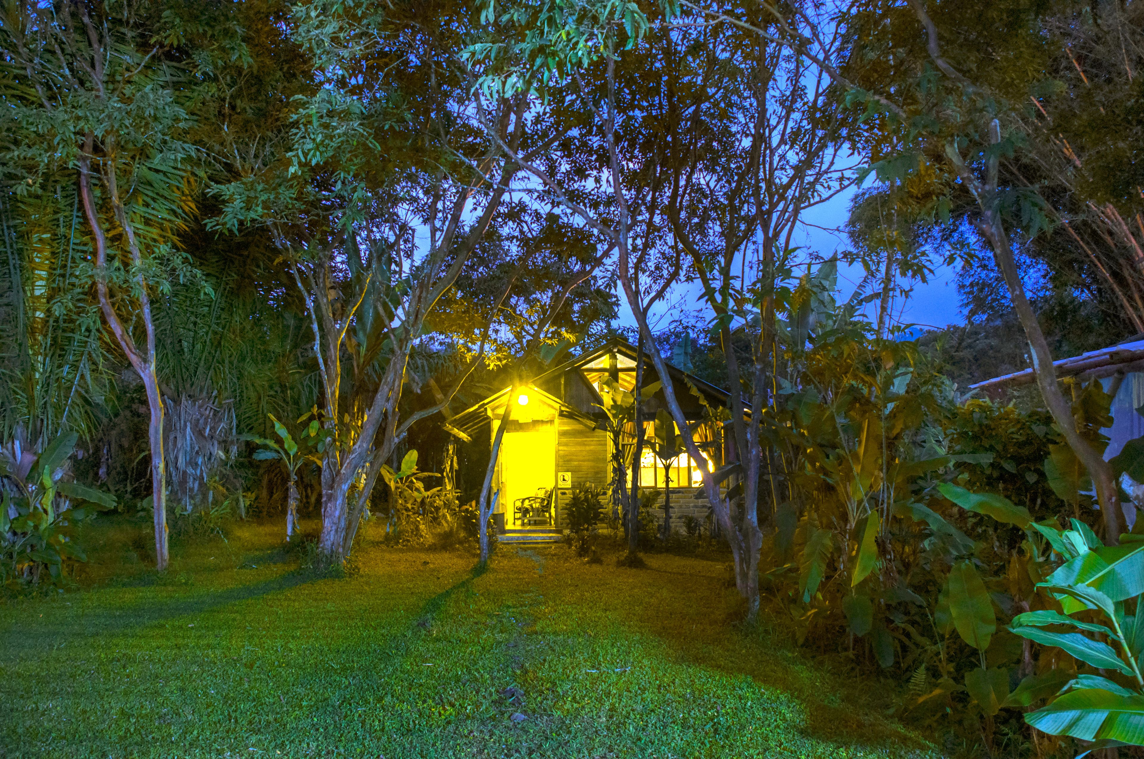 A house surrounded by dense foliage at dusk.