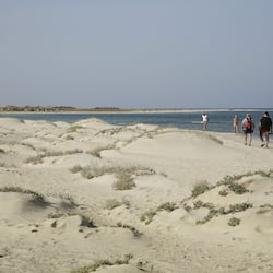 Private beach, sun loungers, beach umbrellas, beach towels