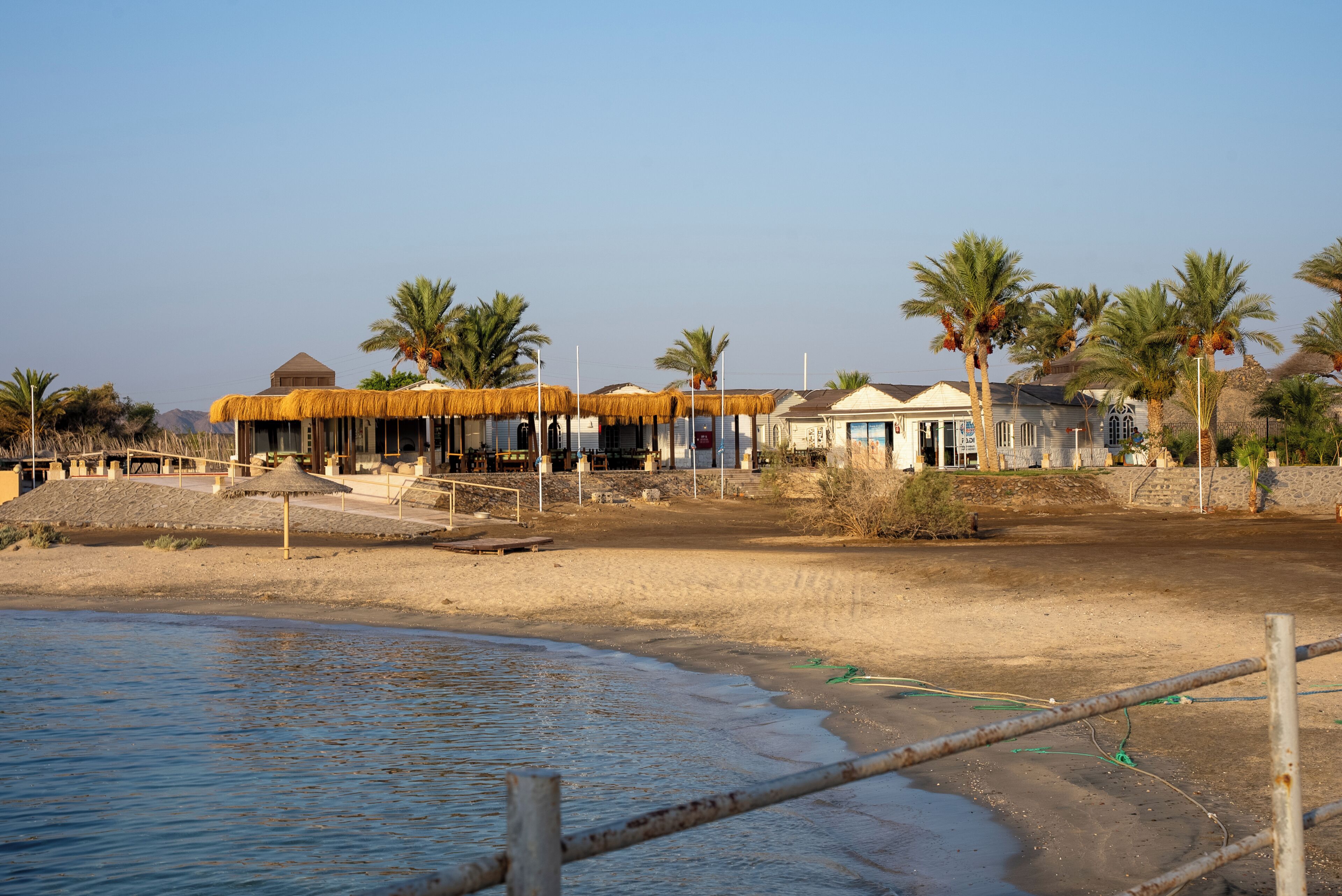 A beachfront property with thatched-roof structures, palm trees, and a sandy beach.