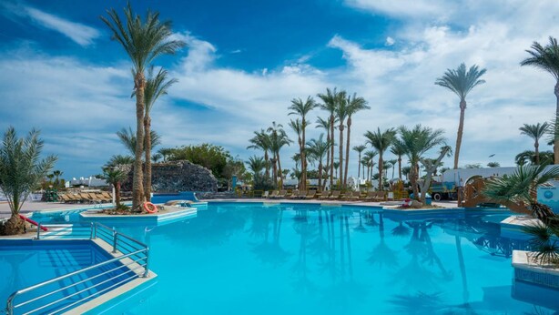 A large outdoor swimming pool surrounded by palm trees and lounge chairs. - Shams Safaga Resort - All inclusive (Safaga)