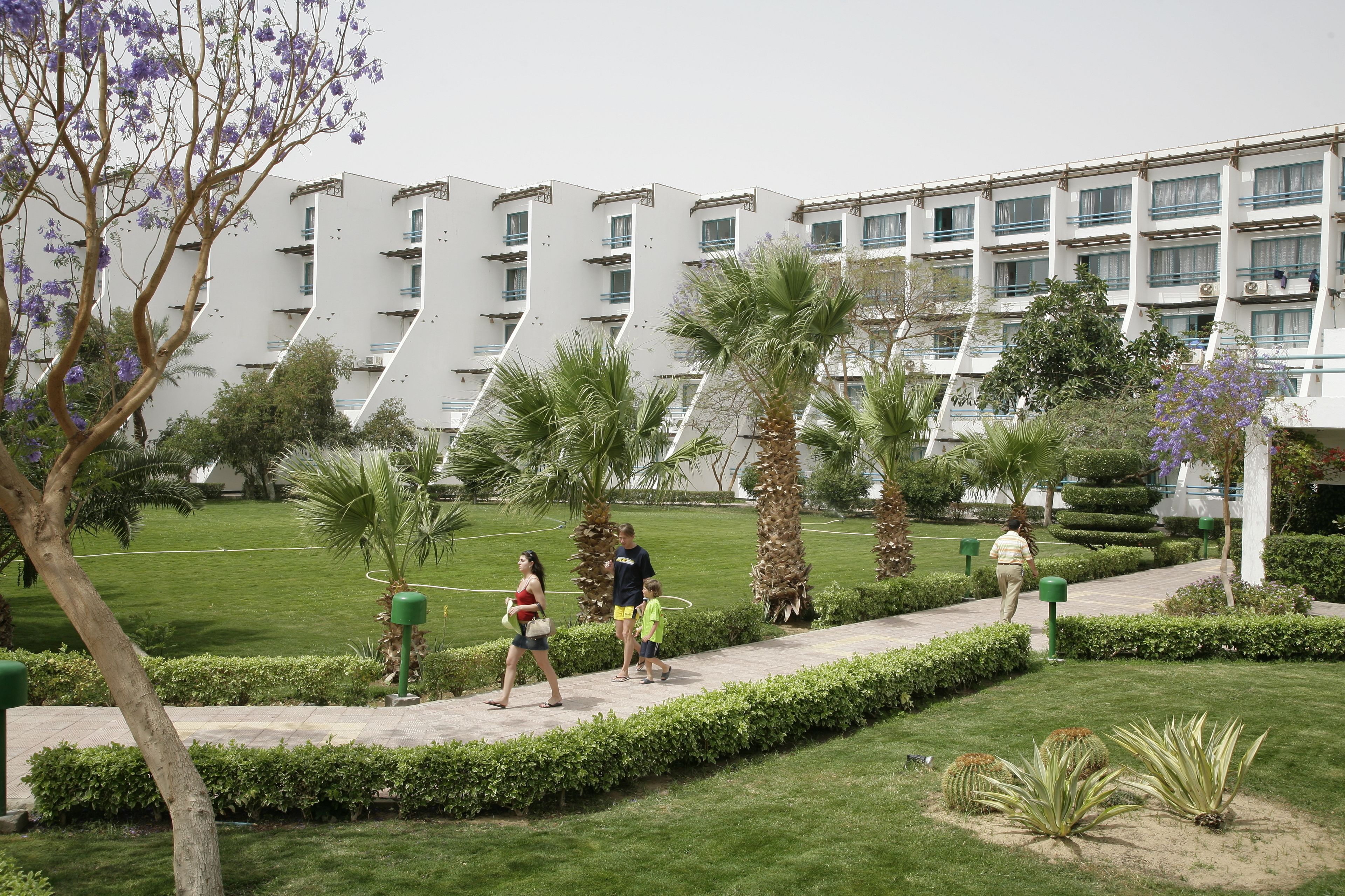 A hotel courtyard with a modern building, palm trees, and a well-maintained lawn.