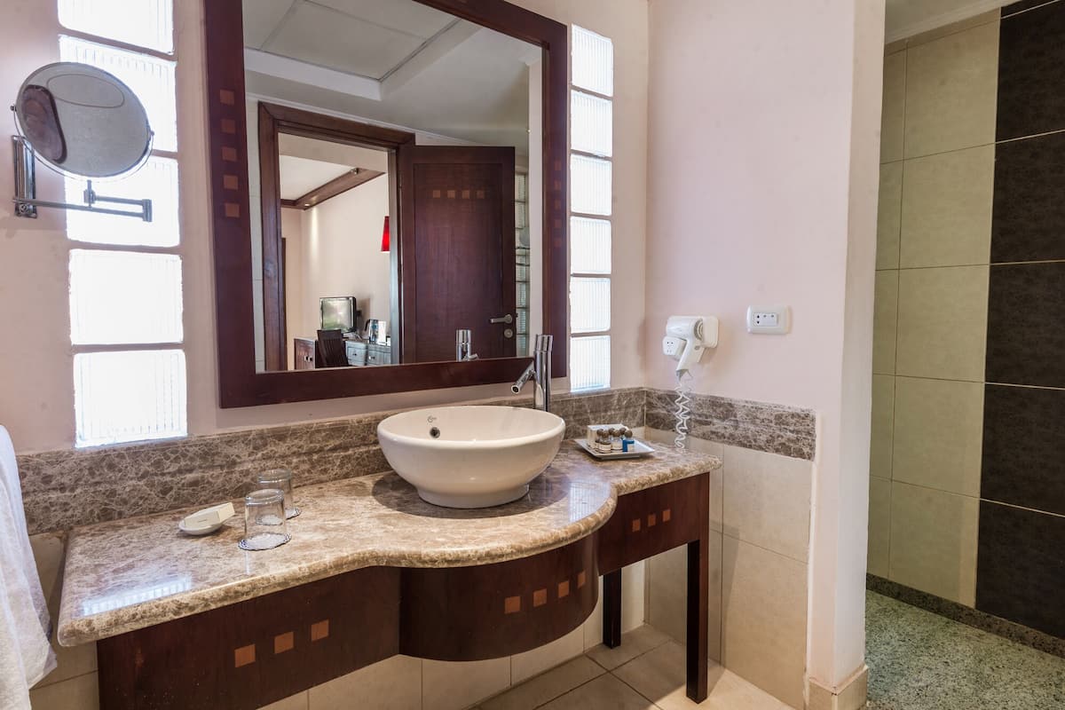 Een douche, gratis toiletartikelen, een haardroger, handdoeken