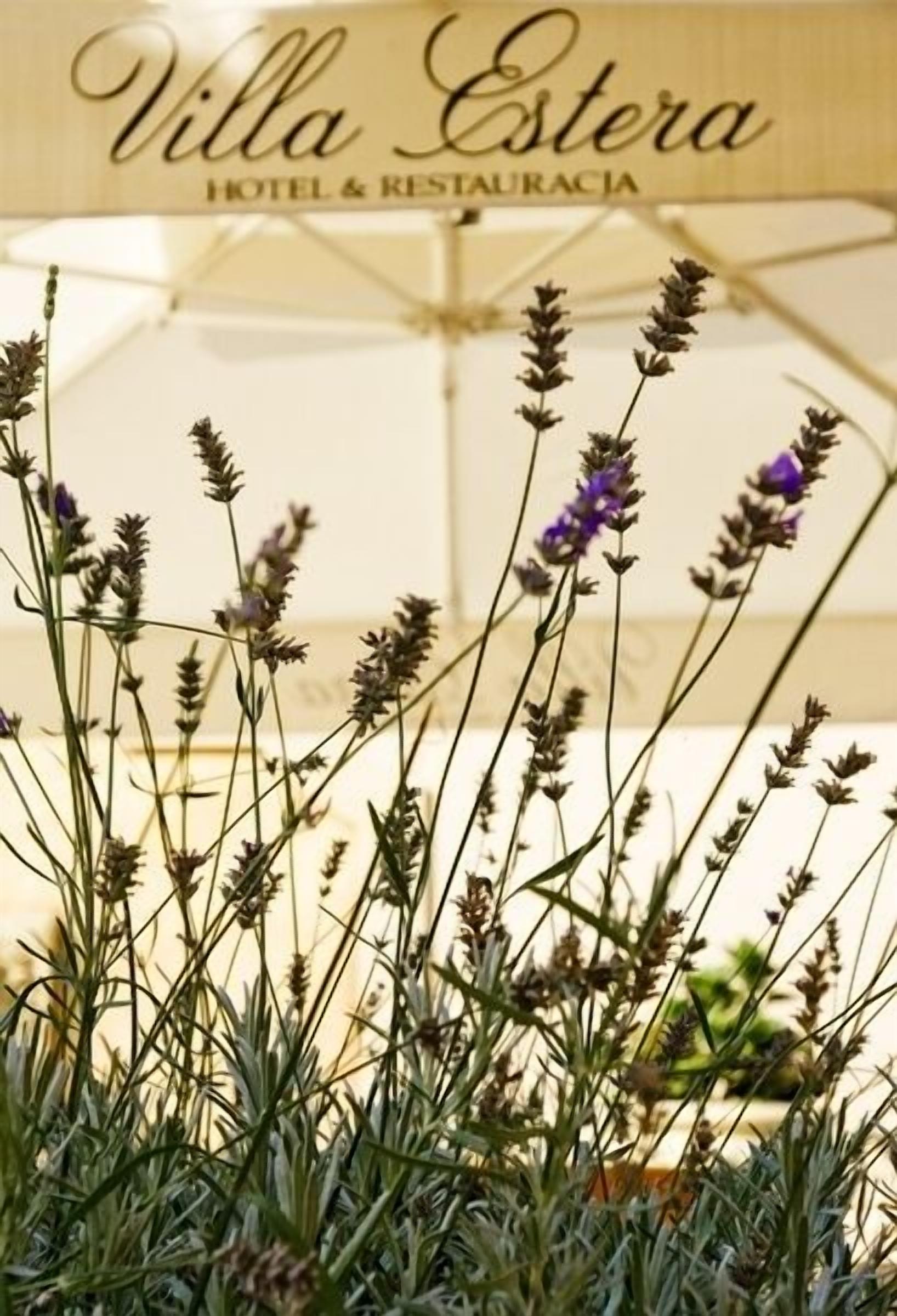 Une enseigne pour l’hôtel et le restaurant Villa Esteria, avec une attention particulière portée aux plants de lavande au premier plan.