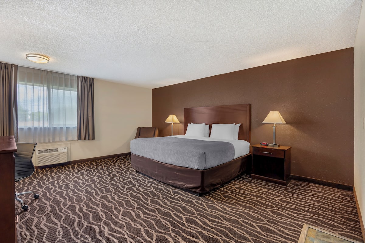 Room, 1 King Bed, Non Smoking | Iron/ironing board, cribs/infant beds, rollaway beds, free WiFi