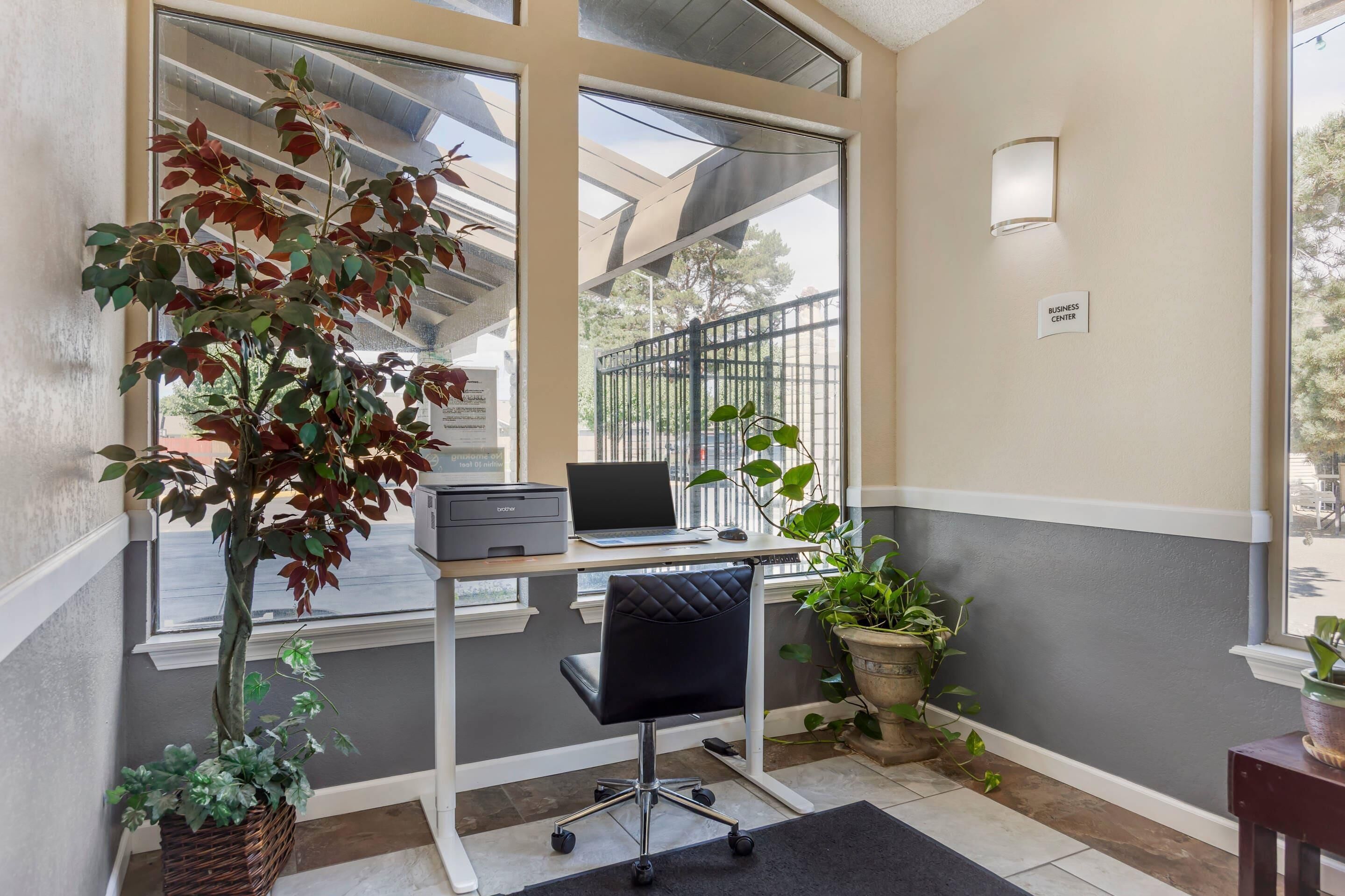 A workspace with a desk, laptop, and a large potted plant.