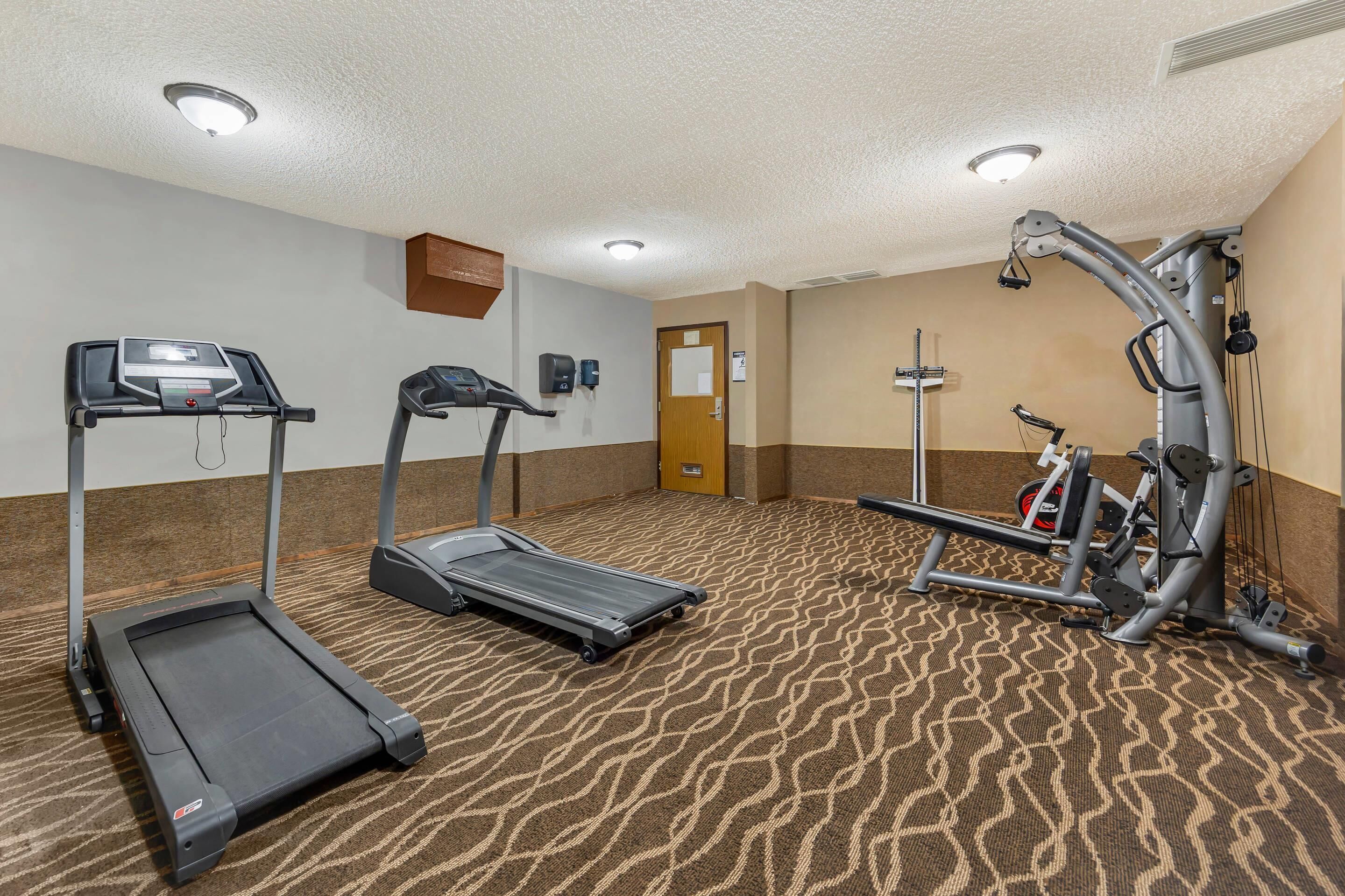 A fitness room with treadmills, a stationary bike, and weight machines.