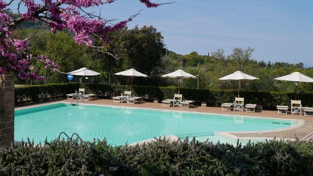 A swimming pool with lounge chairs and umbrellas, surrounded by greenery and trees. - Borgo Etrusco S.p.A. (Scarlino)
