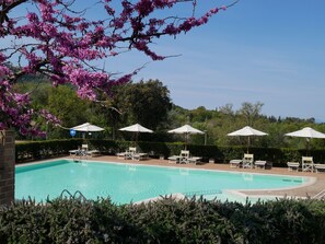 Pool - Borgo Etrusco S.p.A. (Scarlino)