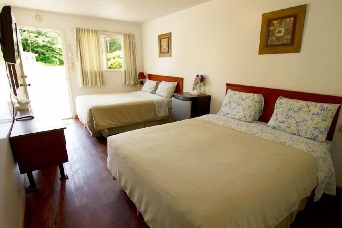Standard Double Room | Cribs (surcharge), WiFi (free)