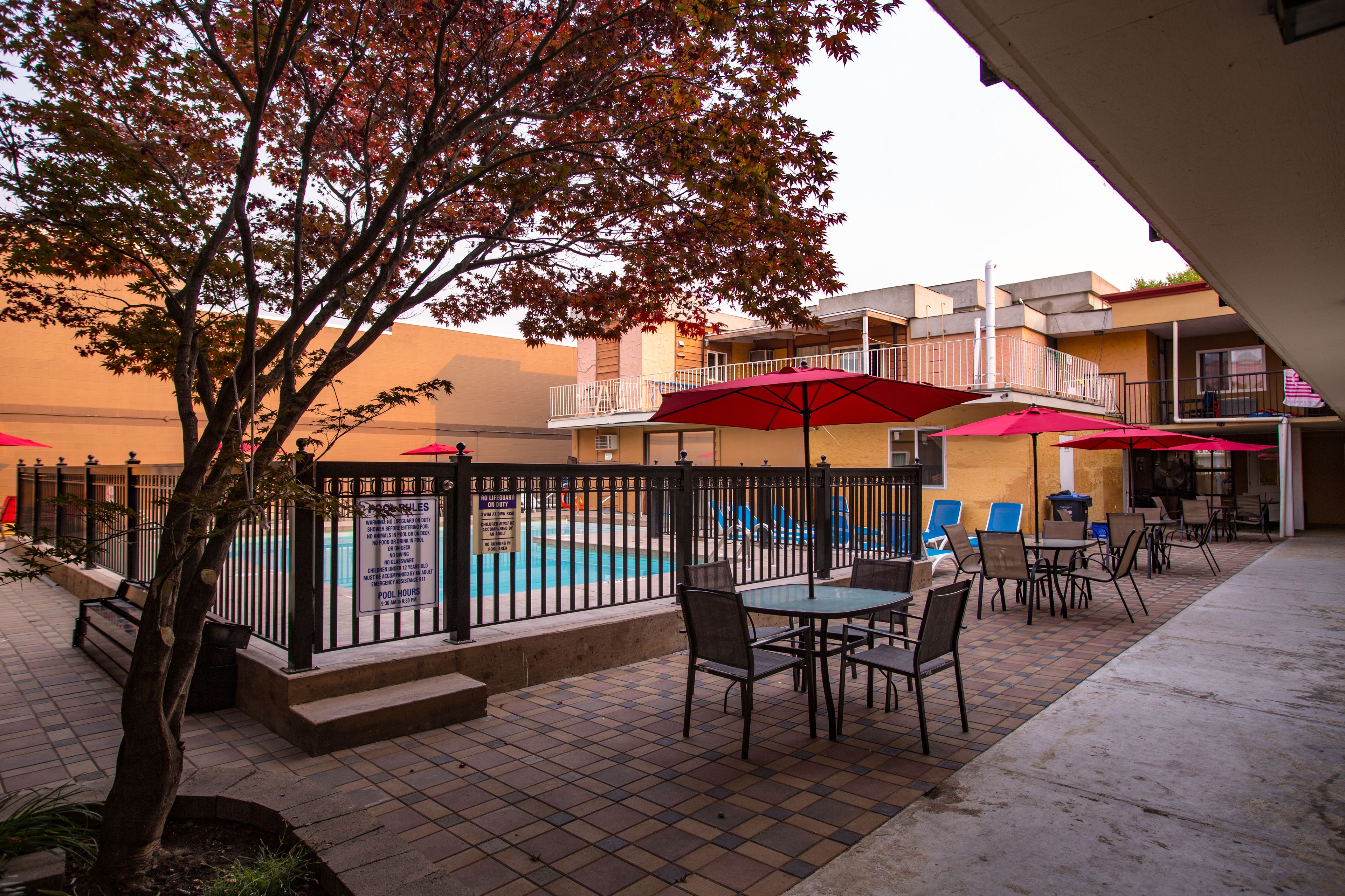 Seasonal outdoor pool, pool umbrellas, pool loungers