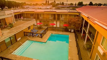 Seasonal outdoor pool, pool umbrellas, sun loungers