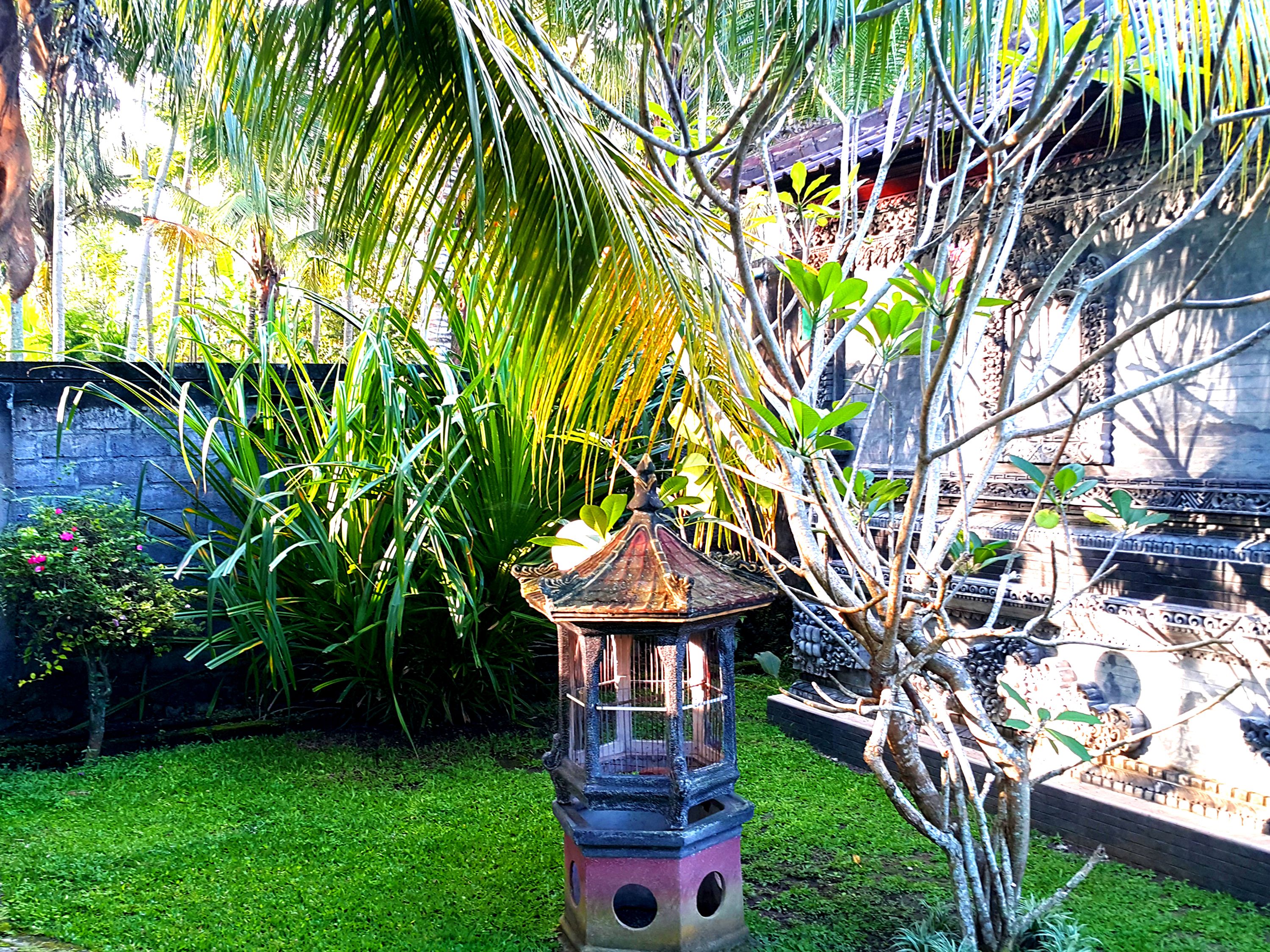 Jardín