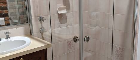 A bathroom with a glass-enclosed shower, a sink, and a mirror.