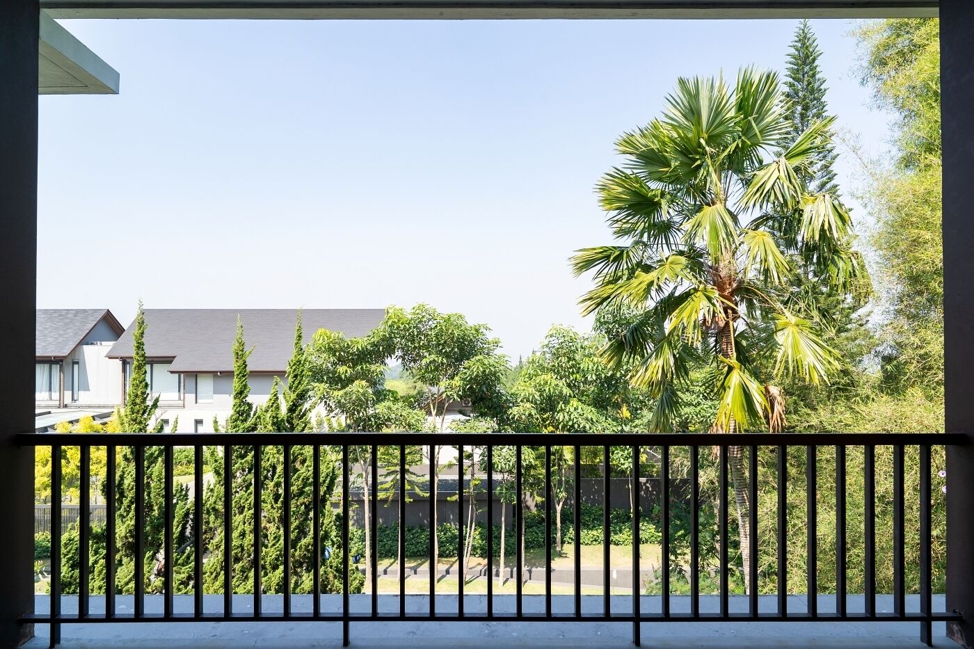 A balcony with a black metal railing, overlooking a residential area with houses and palm trees.