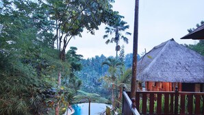 Outdoor pool - Graha Moding (Ubud)