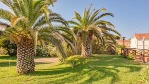 A garden with palm trees and a pathway. - Villaggio Mare Si (Follonica)