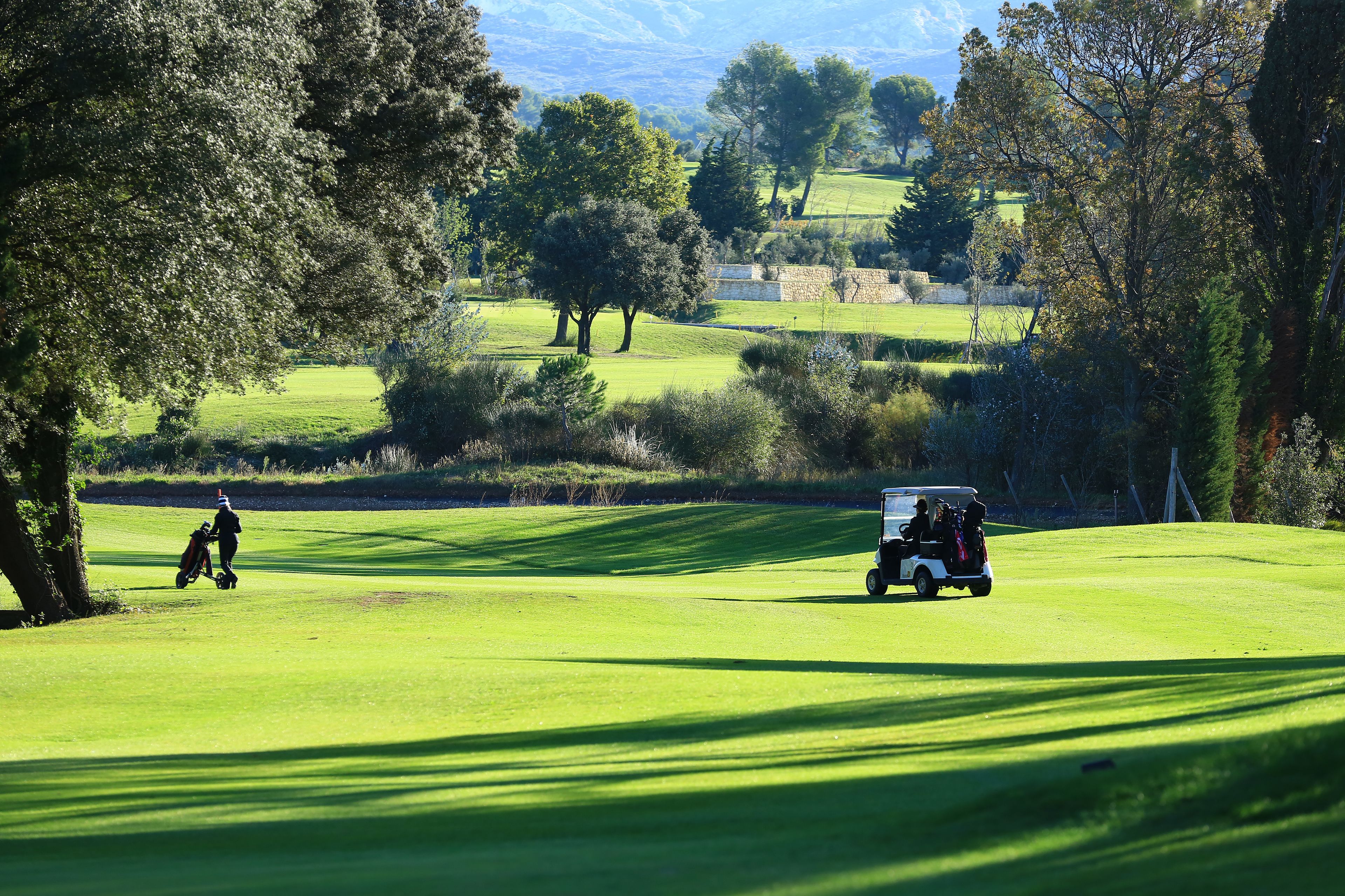 A golf course with a clear path, trees, and a golf cart.