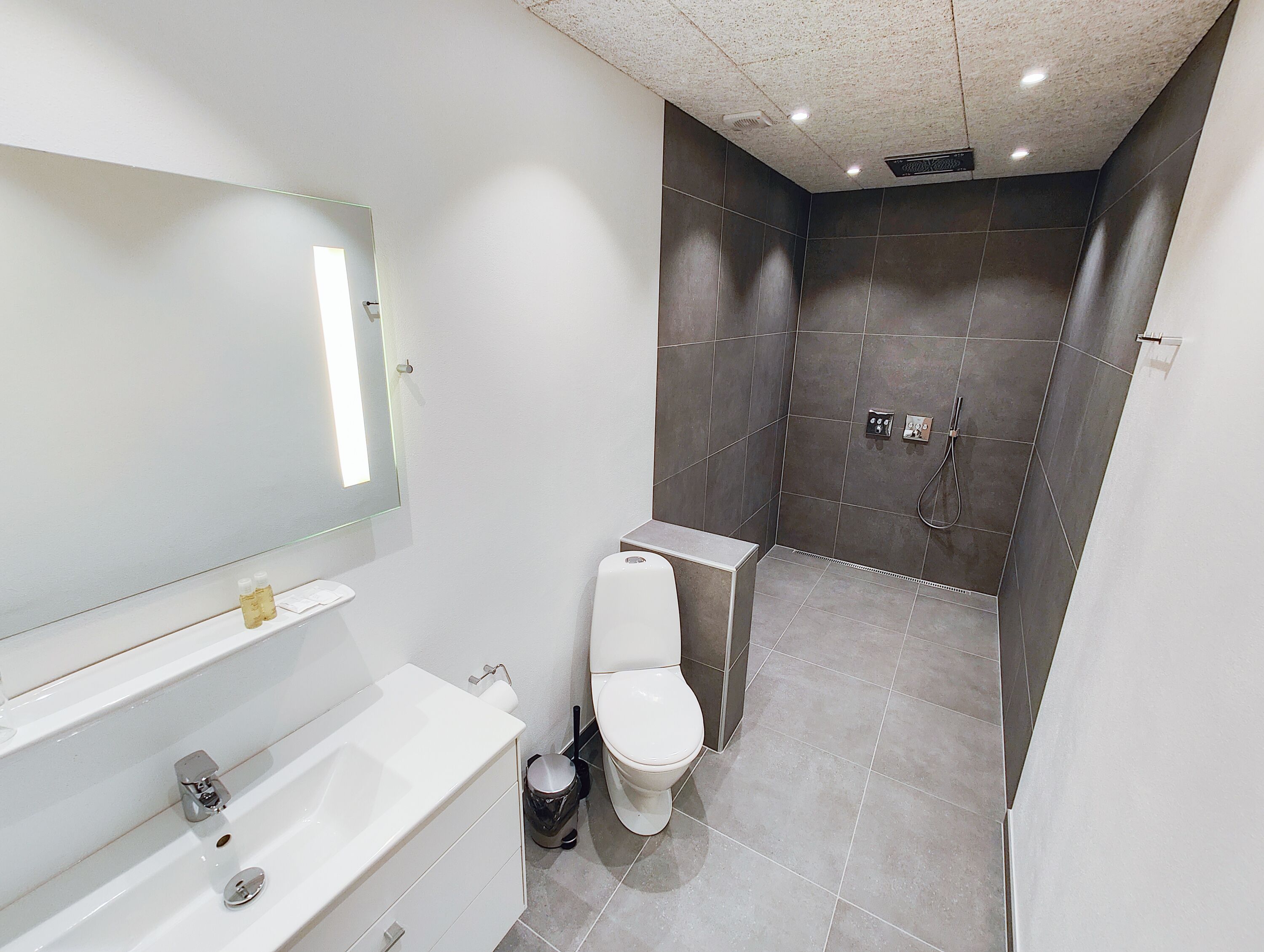 Un baño moderno con inodoro, lavabo y ducha.