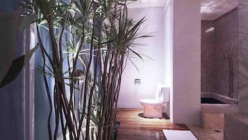 Bồn tắm và buồng tắm vòi sen riêng, bồn tắm thủy lực, máy sấy tóc