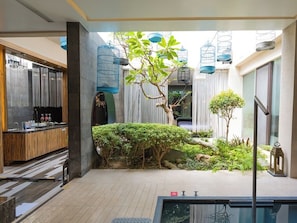 Un espacio interior moderno con cocina, zona de estar con vistas y un pequeño jardín con plantas y un árbol.