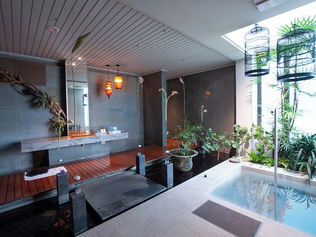 Un moderno espacio de spa con terraza de madera, un jacuzzi y varias plantas.