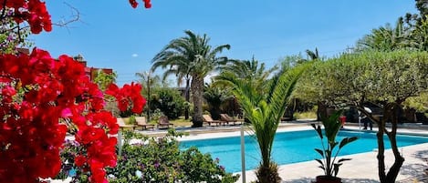 Piscine extérieure, chaises longues