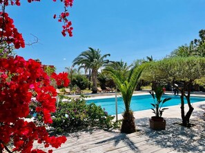 Outdoor pool - Tropic Hotel (Rivesaltes)