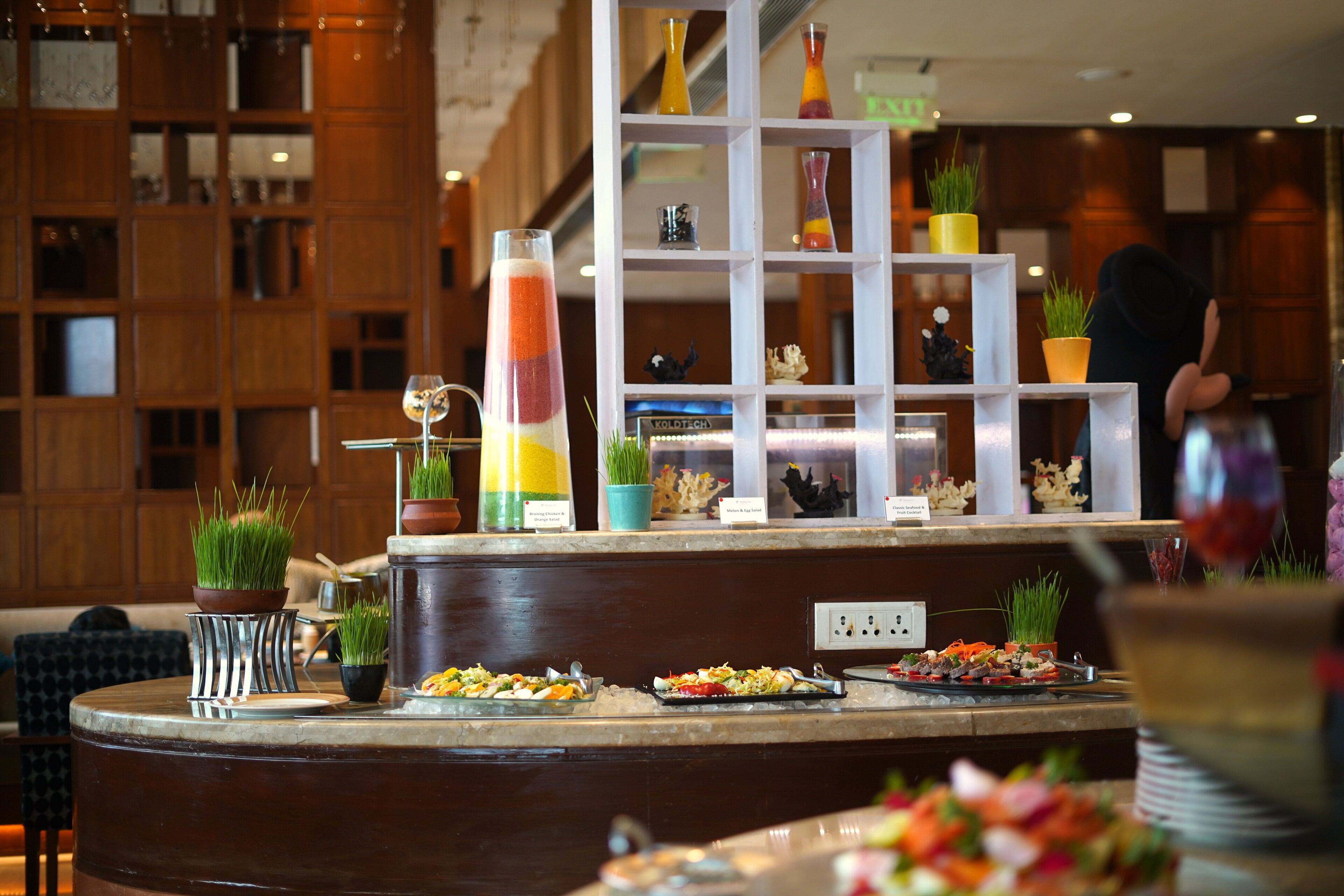 Un comptoir de buffet proposant divers plats et agrémenté de plantes décoratives.