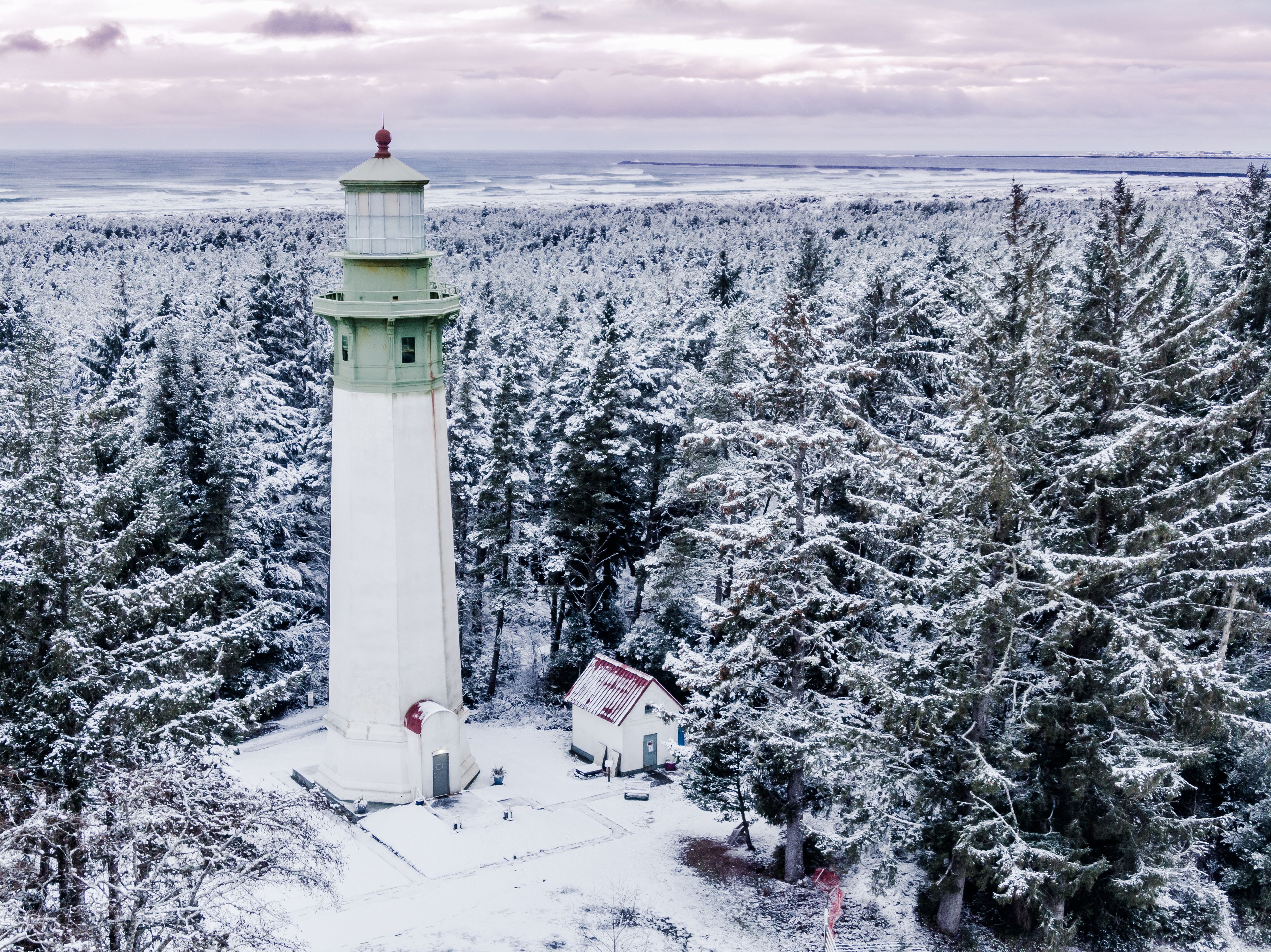 A lighthouse surrounded by snow-covered trees.