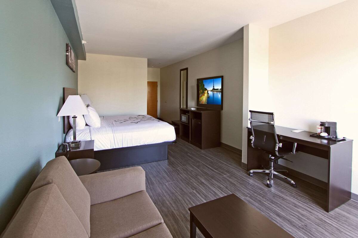 Habitación de hotel con cama, escritorio, silla, sofá, televisor y cafetera.