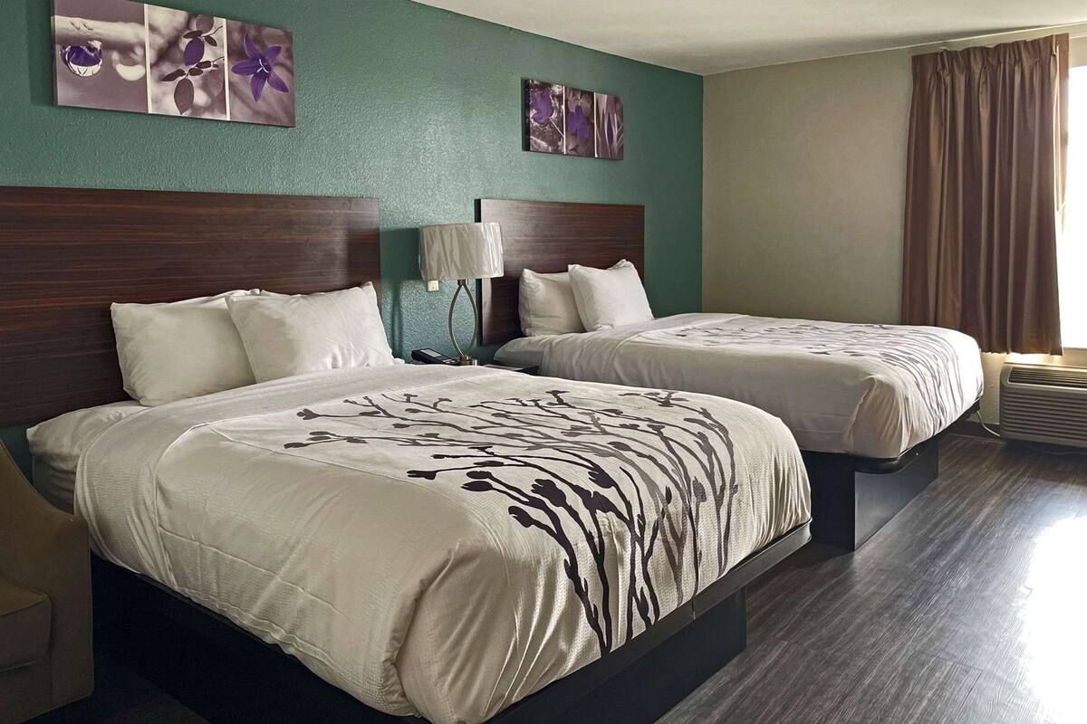 Habitación de hotel con dos camas, una mesita de noche, una lámpara y obras de arte en las paredes.