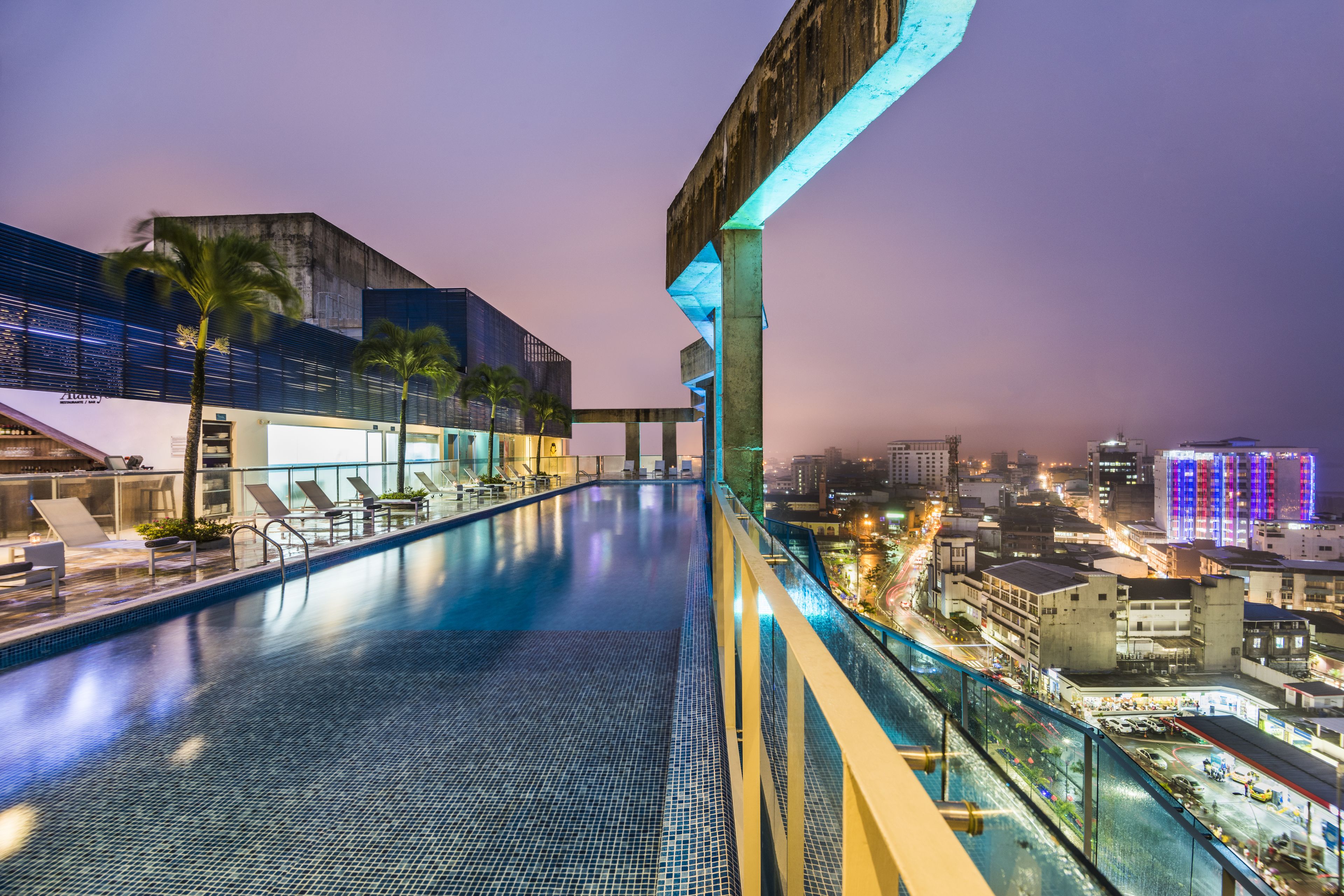A rooftop infinity pool with a city view, palm trees, and modern architecture.