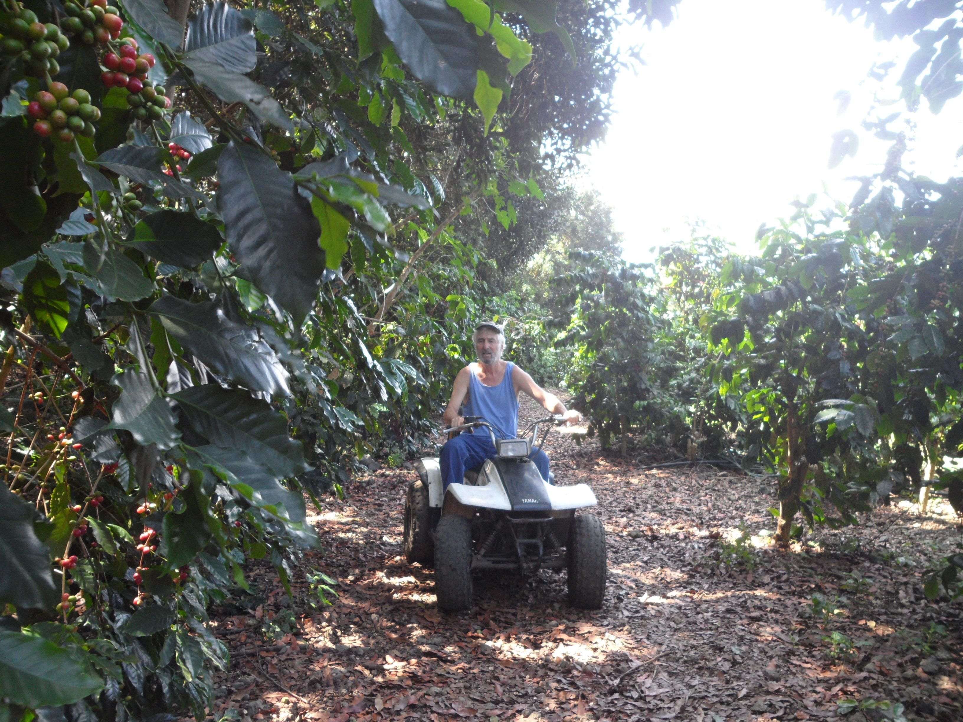 A person riding a Yamaha ATV in a coffee plantation.
