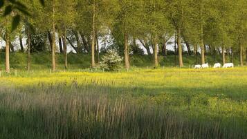 A natural landscape with a water body, grassy areas, and trees.