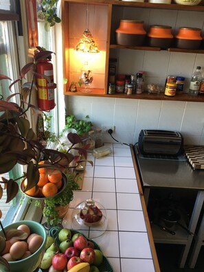 A kitchen with a toaster, a fruit bowl, a fire extinguisher, and a shelf with jars and bottles.