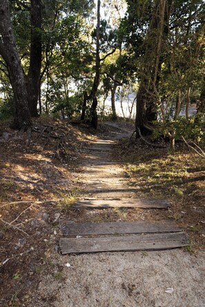 Hiking