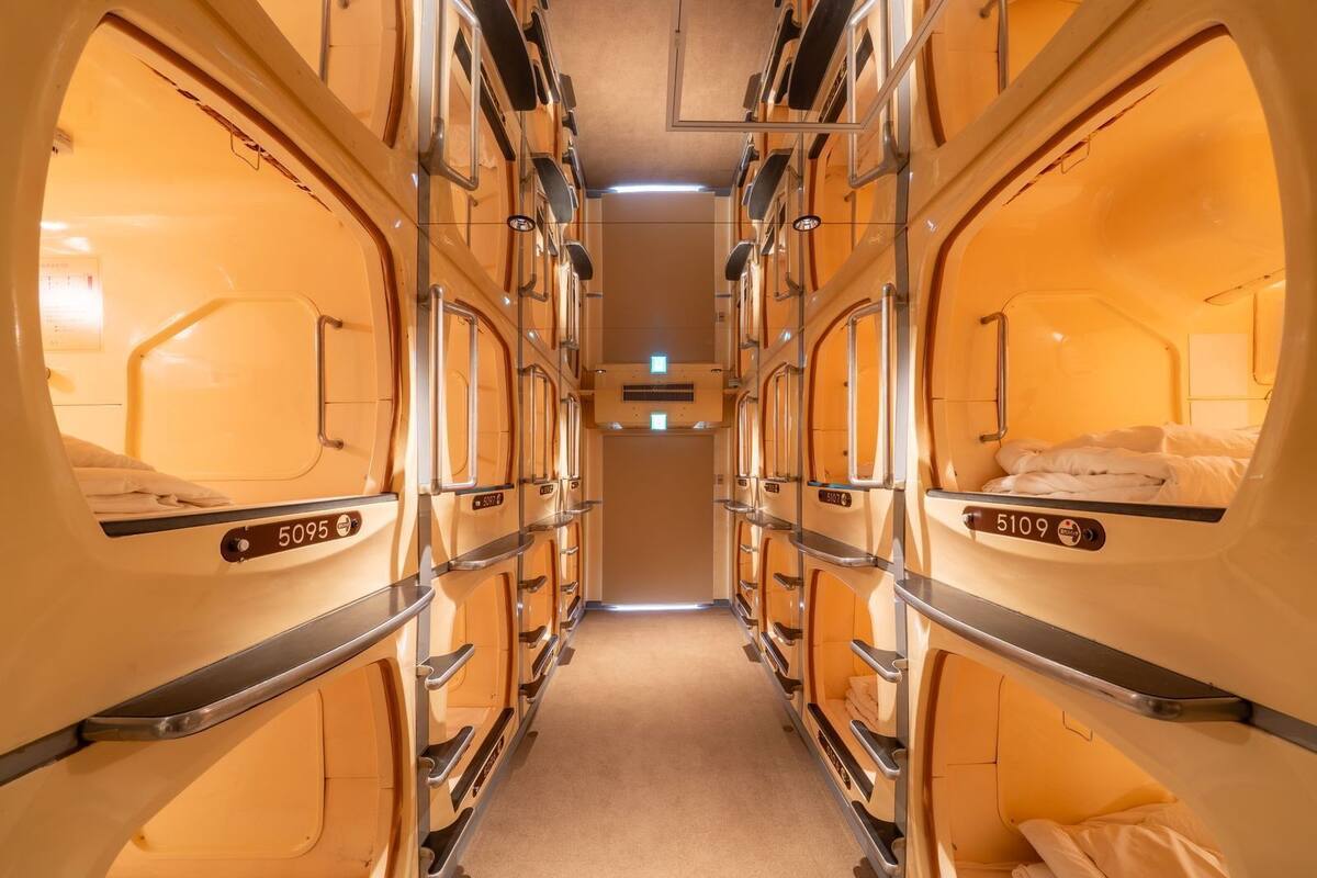 A row of bunk beds with numbers on the side, a carpeted floor, and a central air vent.