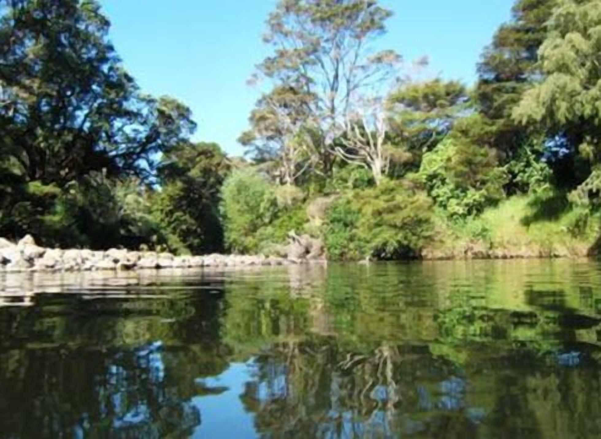 Un río tranquilo con abundante vegetación y árboles que se reflejan en el agua.