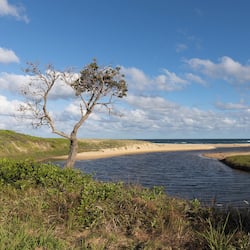 Meer